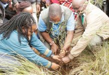 Swamp within Mau to be gazetted as wetland
