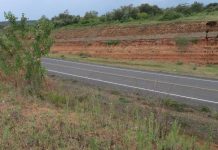 Animal bridge to reduce accidents on busy road