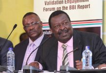 Executive PM is recipe for chaos, says Mudavadi