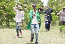 Farmers brace for return of the desert locusts