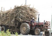 Cane farmers push to get pay within 7 days
