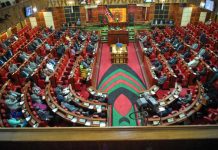 Flight of fancy: MP’s longing for air support that won’t take off