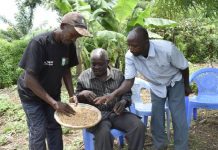 Farmers bemoan poor rice prices