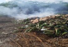 Covid-19: Police intercept trucks, arrest driver and torch miraa