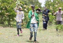 No end to locust threat, says State