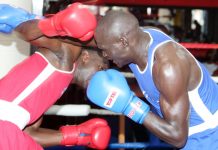 Prisons and Police boxers show class