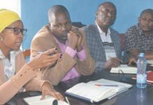 Cold weather pushes locusts out of Nyandarua County