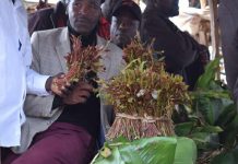 Assembly plans meeting over banning of miraa