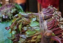 Tonnes of miraa, muguka torched in Kilifi over fears of Covid-19 spread