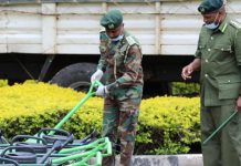 Kenya’s long-term forest plan takes shape