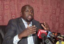 We’re going nowhere, Murkomen, Kihika vow after Senate ouster