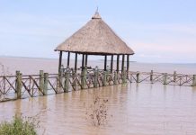 KWS staring at huge bills as rising Lake waters escalate human-wildlife conflicts