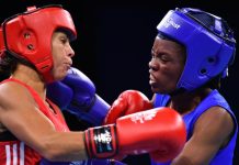 National Boxing League postponed to next year
