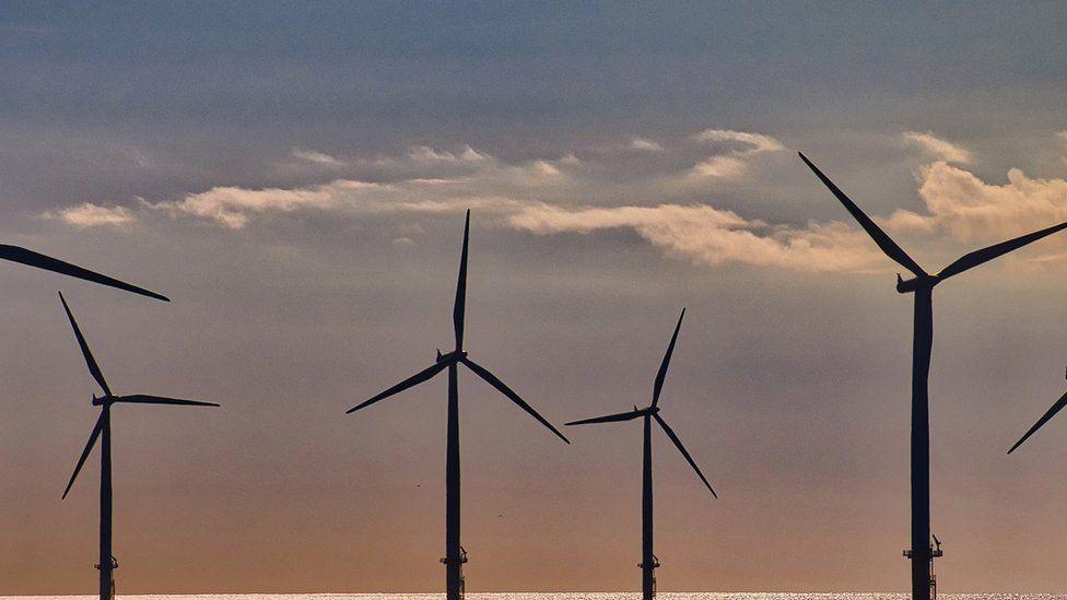 Tory leadership race: Where do candidates stand on net zero goal? Tory leadership race: Where do candidates stand on net zero goal?