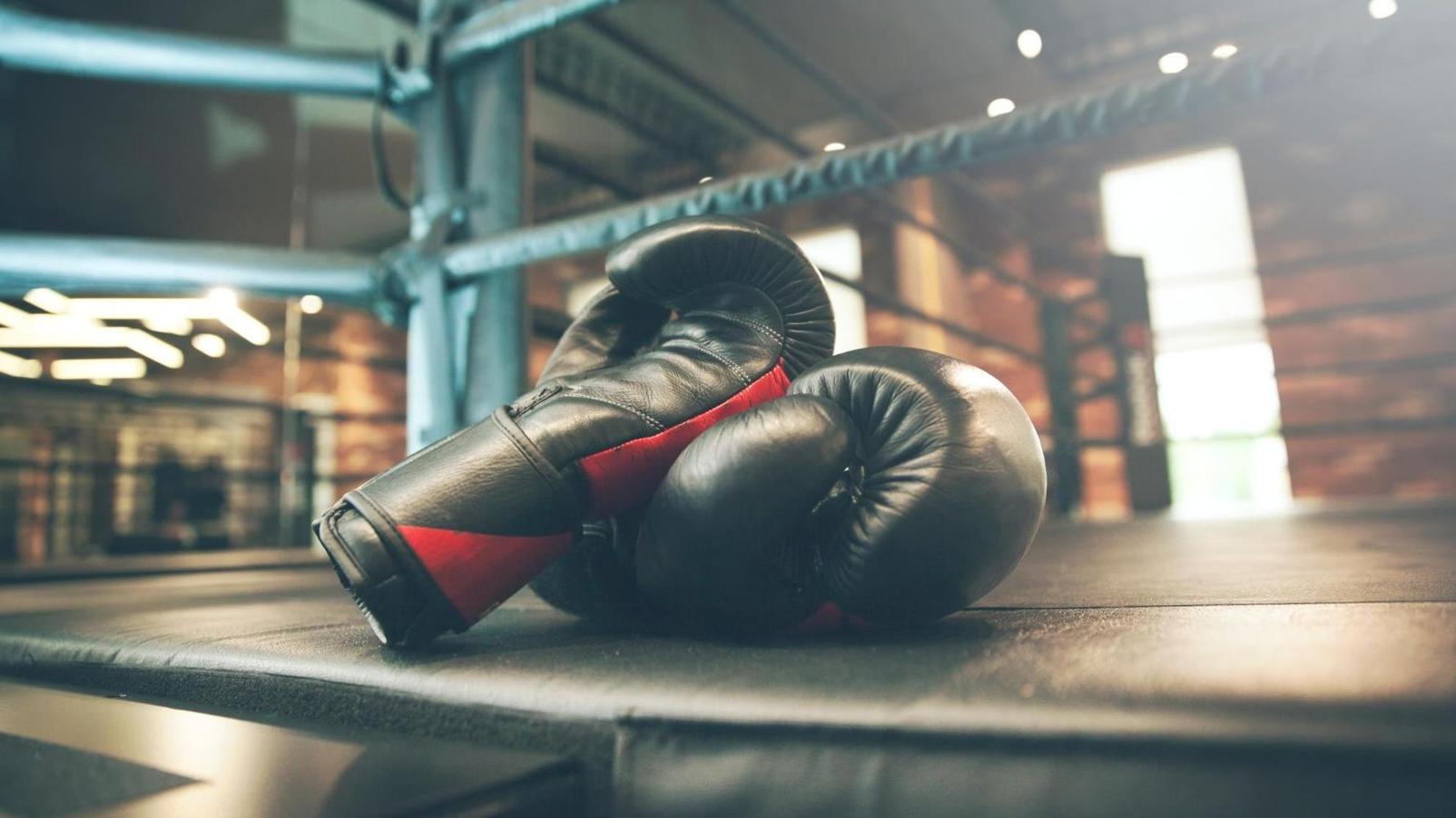 BOXING INCLUDED AT BIGGEST BRAAI THIS YEAR BOXING INCLUDED AT BIGGEST BRAAI THIS YEAR