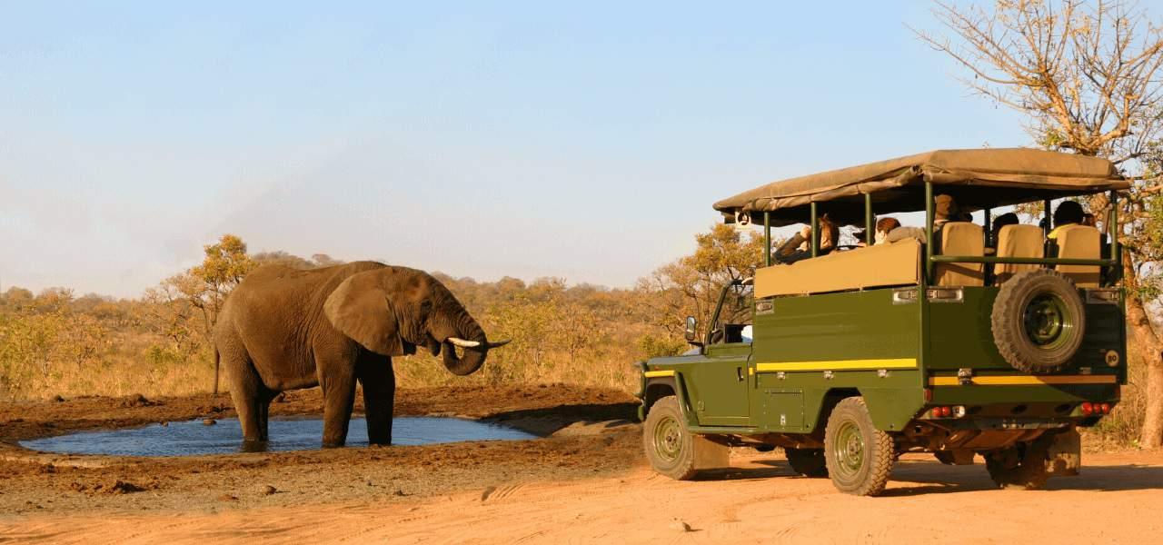 Africa's national parks increasingly threatened by drought Africa's national parks increasingly threatened by drought