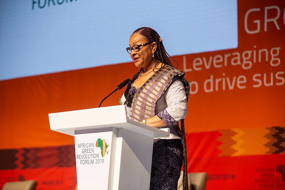 Africa committed to the fight against climate change Africa committed to the fight against climate change