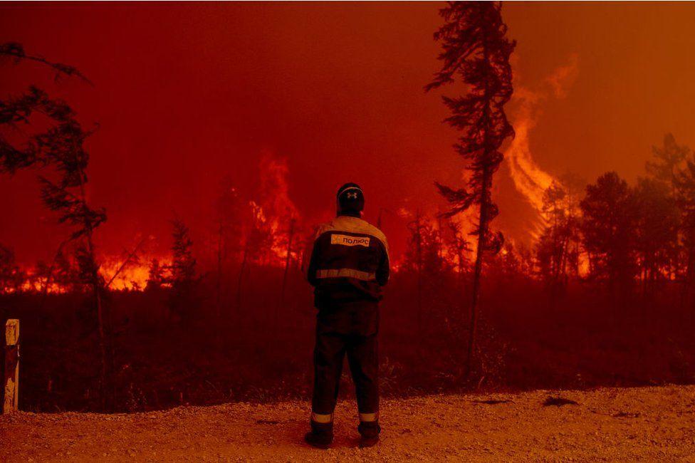 Climate change: 'Staggering' rate of global tree losses from fires Climate change: 'Staggering' rate of global tree losses from fires