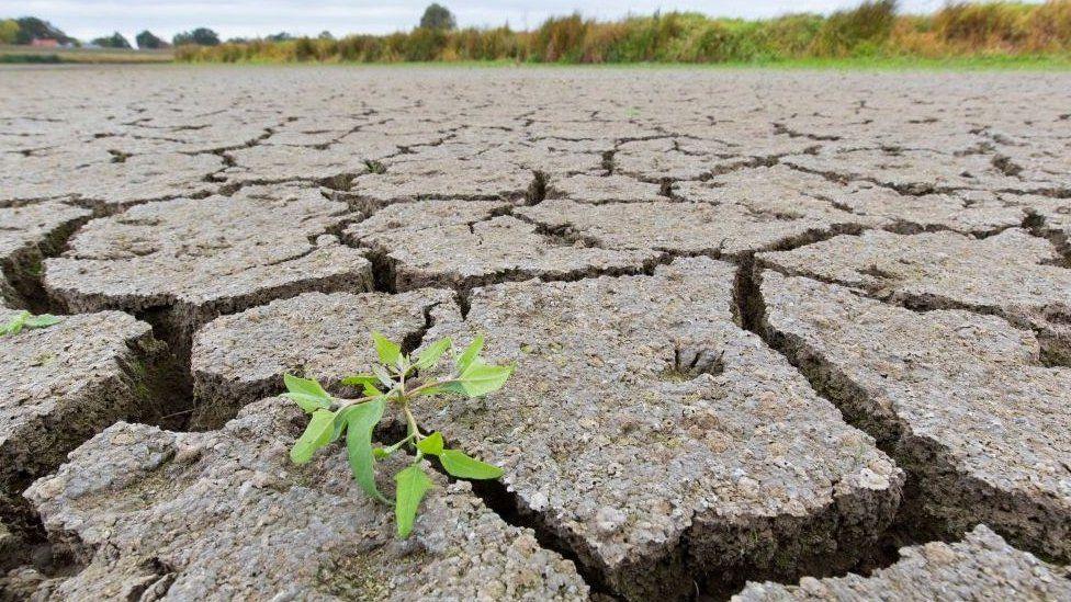 Thunderstorms: Why drought can lead to dangerous flooding Thunderstorms: Why drought can lead to dangerous flooding