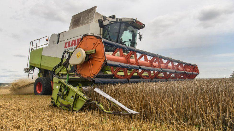 UN FAO's global food prices fall for fifth month in a row UN FAO's global food prices fall for fifth month in a row