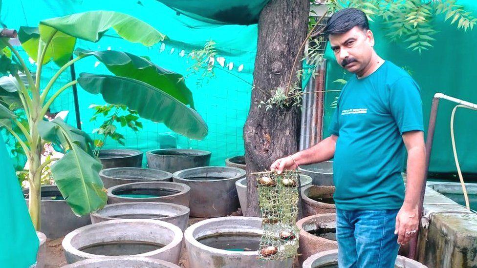 How India is building a pearl farming industry How India is building a pearl farming industry