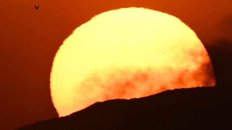Climate change: Europe's warm summer shatters records Climate change: Europe's warm summer shatters records