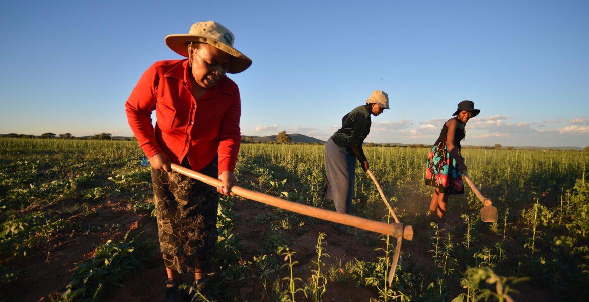 The Invisible Force of Women in the Agriculture Sector The Invisible Force of Women in the Agriculture Sector
