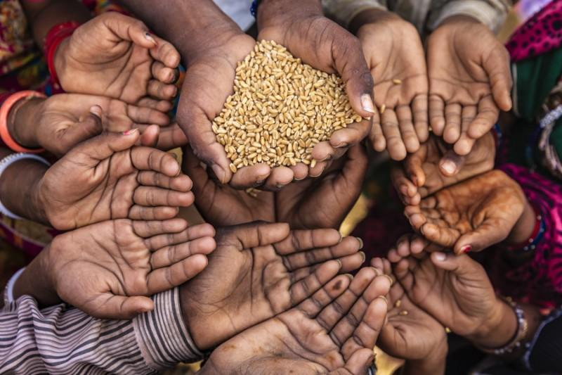 Situation of world hunger in 2022 is grim Situation of world hunger in 2022 is grim