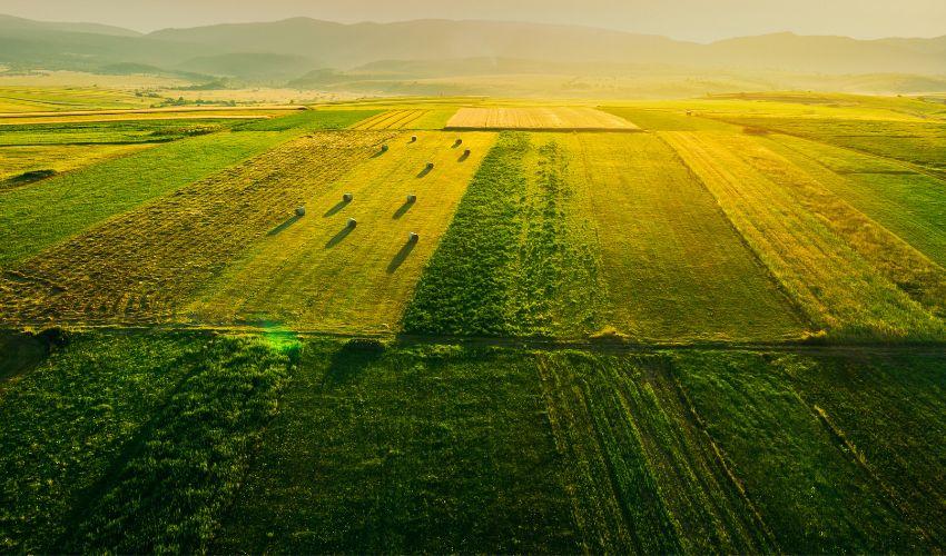 AGRICULTURE, A POSSIBLE LUCRATIVE BUSINESS FOR ESWATINI YOUTH AGRICULTURE, A POSSIBLE LUCRATIVE BUSINESS FOR ESWATINI YOUTH