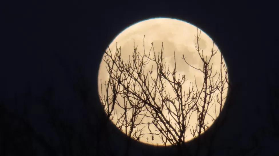 In pictures: Cold Moon captured by photographers In pictures: Cold Moon captured by photographers