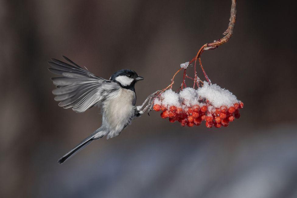 Week in pictures: 3 - 9 December 2022 Week in pictures: 3 - 9 December 2022