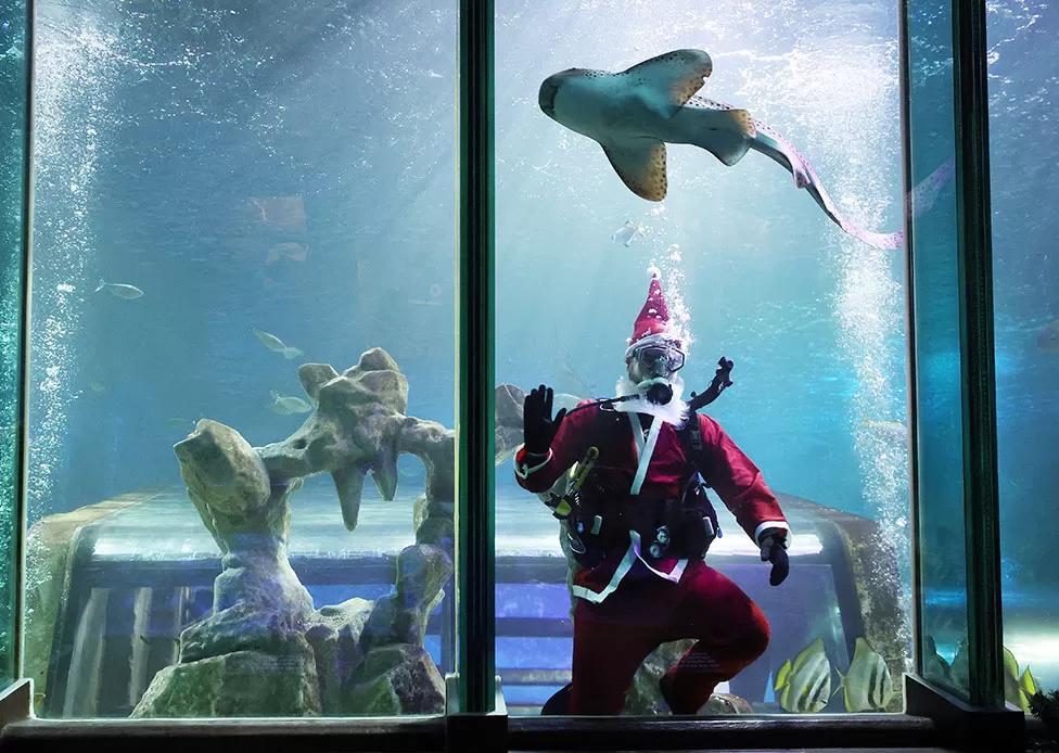 Week in pictures: December 2022 Week in pictures: December 2022