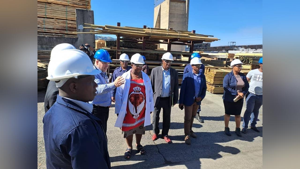 Labour Minister Phila Buthelezi visits Montigny Forestry company, meets management and staff Labour Minister Phila Buthelezi visits Montigny Forestry company, meets management and staff