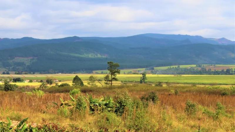 INTERNATIONAL MEDIA SETS EYES ON MTN BUSHFIRE INTERNATIONAL MEDIA SETS EYES ON MTN BUSHFIRE