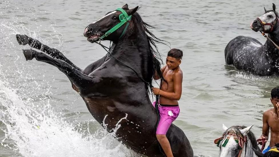 Africa's week in pictures: 4 - 10 August 2023 Africa's week in pictures: 4 - 10 August 2023