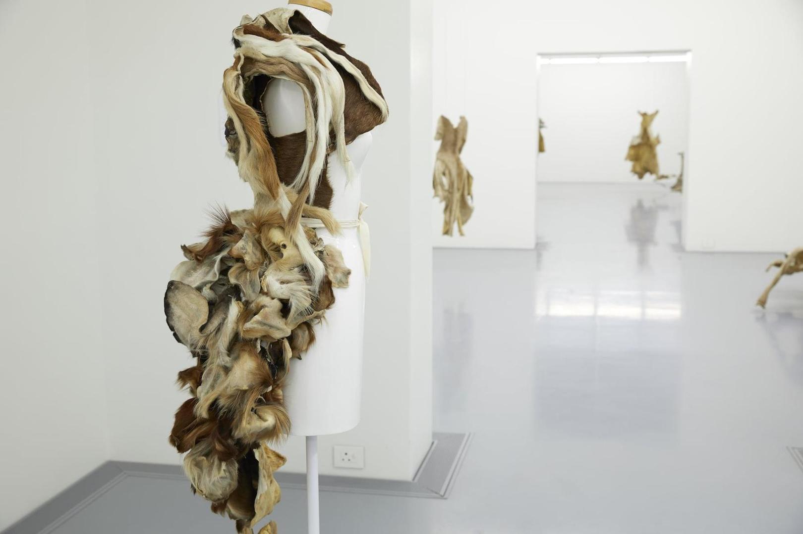 A CONVERSATION WITH NANDIPHA MNTAMBO A CONVERSATION WITH NANDIPHA MNTAMBO