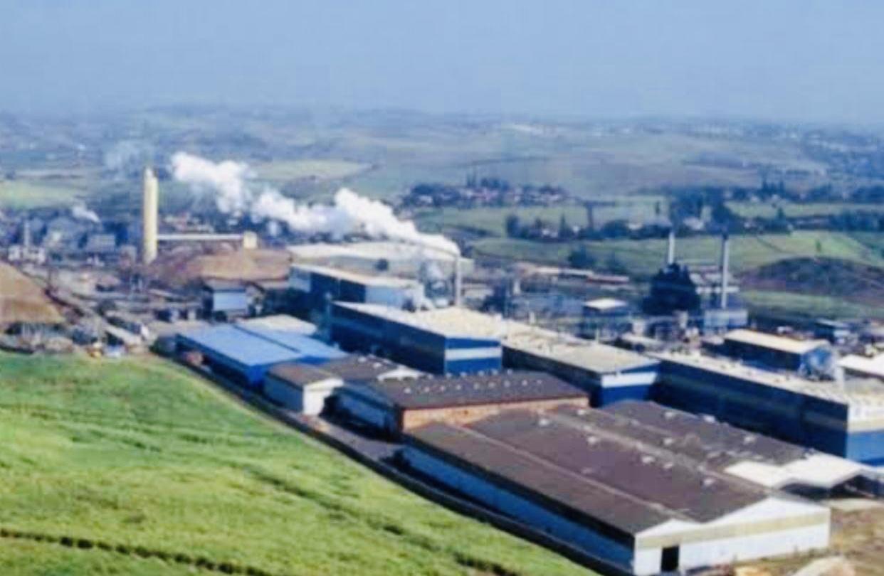 Montigny Investments contractor Khombindlela Forestry Services Director ‘disappears’ with retrenched workers terminal benefits, Manager Lihle Dlamini blames delay on Revenue Authority Montigny Investments contractor Khombindlela Forestry Services Director ‘disappears’ with retrenched workers terminal benefits, Manager Lihle Dlamini blames delay on Revenue Authority