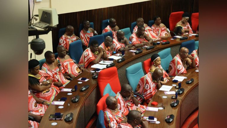 2025 A YEAR FOR IMPACT - Eswatini