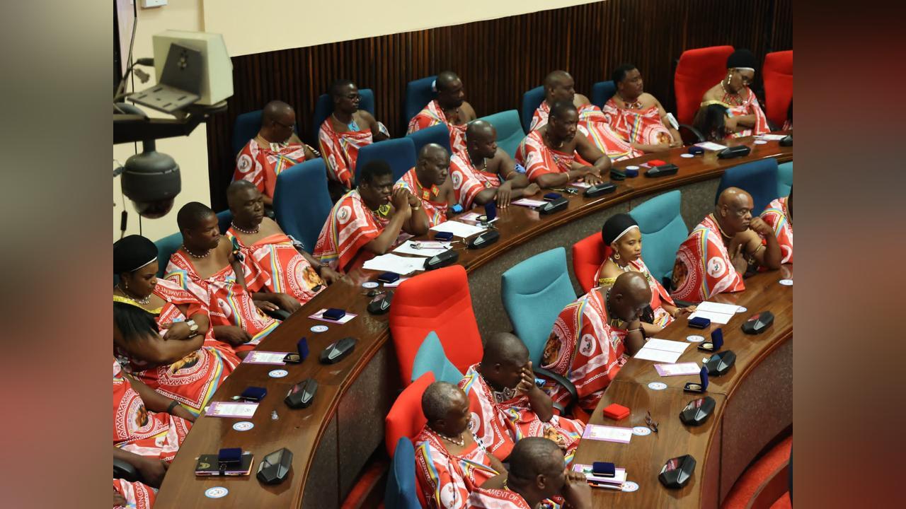 2025 A YEAR FOR IMPACT - Eswatini