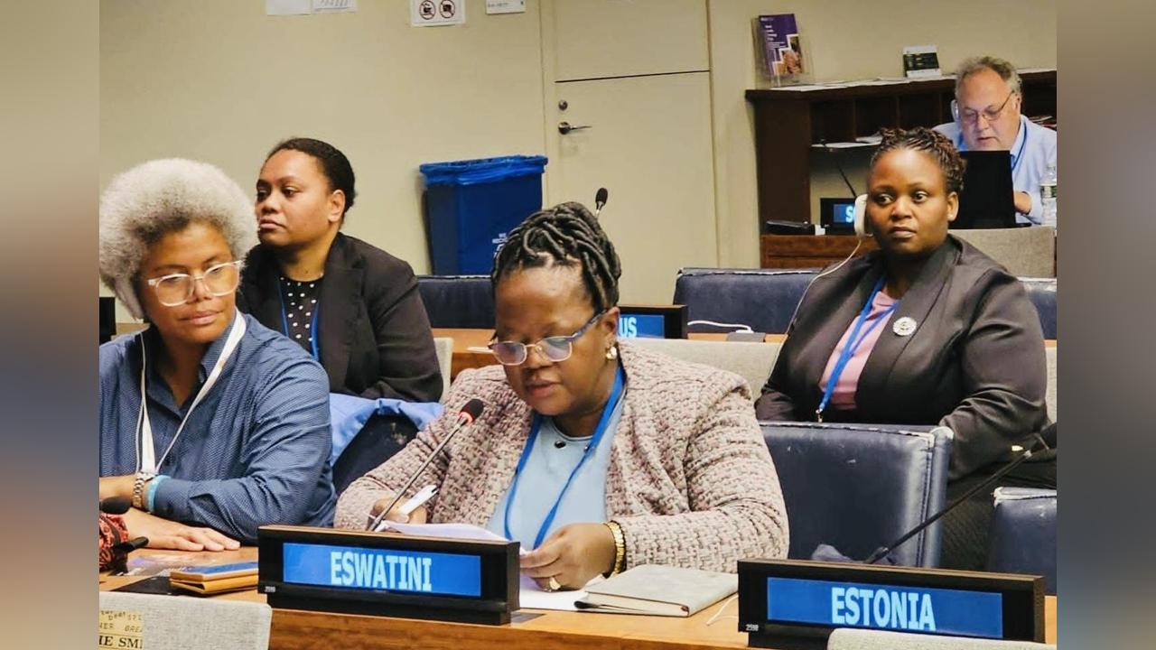 Economic Planning Minister Delivers False Statement at the Commission for Population and Development-New York, Says Government Providing Healthcare to Emaswati Economic Planning Minister Delivers False Statement at the Commission for Population and Development-New York, Says Government Providing Healthcare to Emaswati