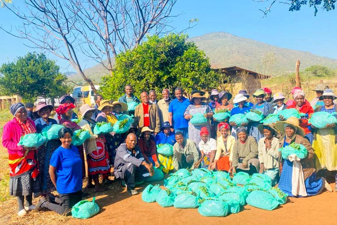 NKWENE GARDEN SCHEME RETURNS STRONGER AFTER FLOOD SETBACK NKWENE GARDEN SCHEME RETURNS STRONGER AFTER FLOOD SETBACK