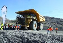 Are African Countries Aware of their own Mineral Wealth? Are African Countries Aware of their own Mineral Wealth?