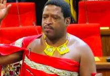 Eswatini Chief Senator Claims Shared Bloodline with Zulu Eswatini Chief Senator Claims Shared Bloodline with Zulu
