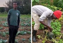 Equipping Farmers International’S New Vision for Eswatini Equipping Farmers International'S New Vision for Eswatini