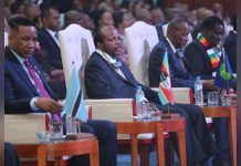 King Appointed Deputy Chairperson of SADC Security Troika King Appointed Deputy Chairperson of SADC Security Troika