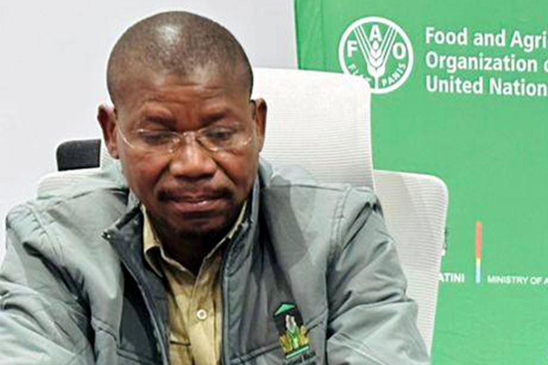 Good Farming Practices for Eswatini'S Maize Needs Good Farming Practices for Eswatini'S Maize Needs