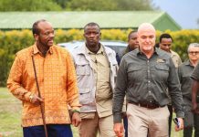 KING WANTS BIG FIVE IN JOZINI KING WANTS BIG FIVE IN JOZINI