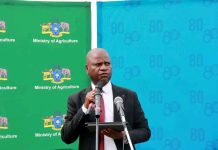 Eswatini Invests E61 Million in Agro Processing Future Eswatini Invests E61 Million in Agro Processing Future