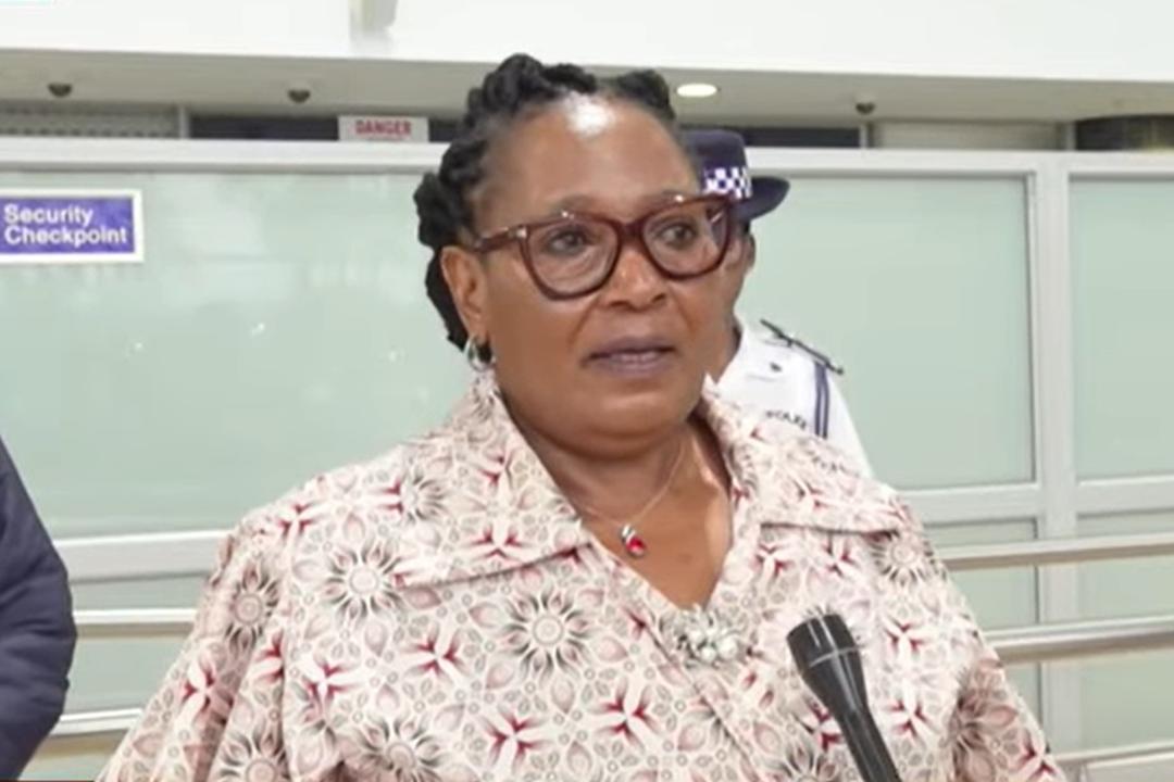 Dpm Dladla Represents Eswatini at World Summit Dpm Dladla Represents Eswatini at World Summit