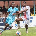 IT’S BIRDS ON TOP! IT’S BIRDS ON TOP!